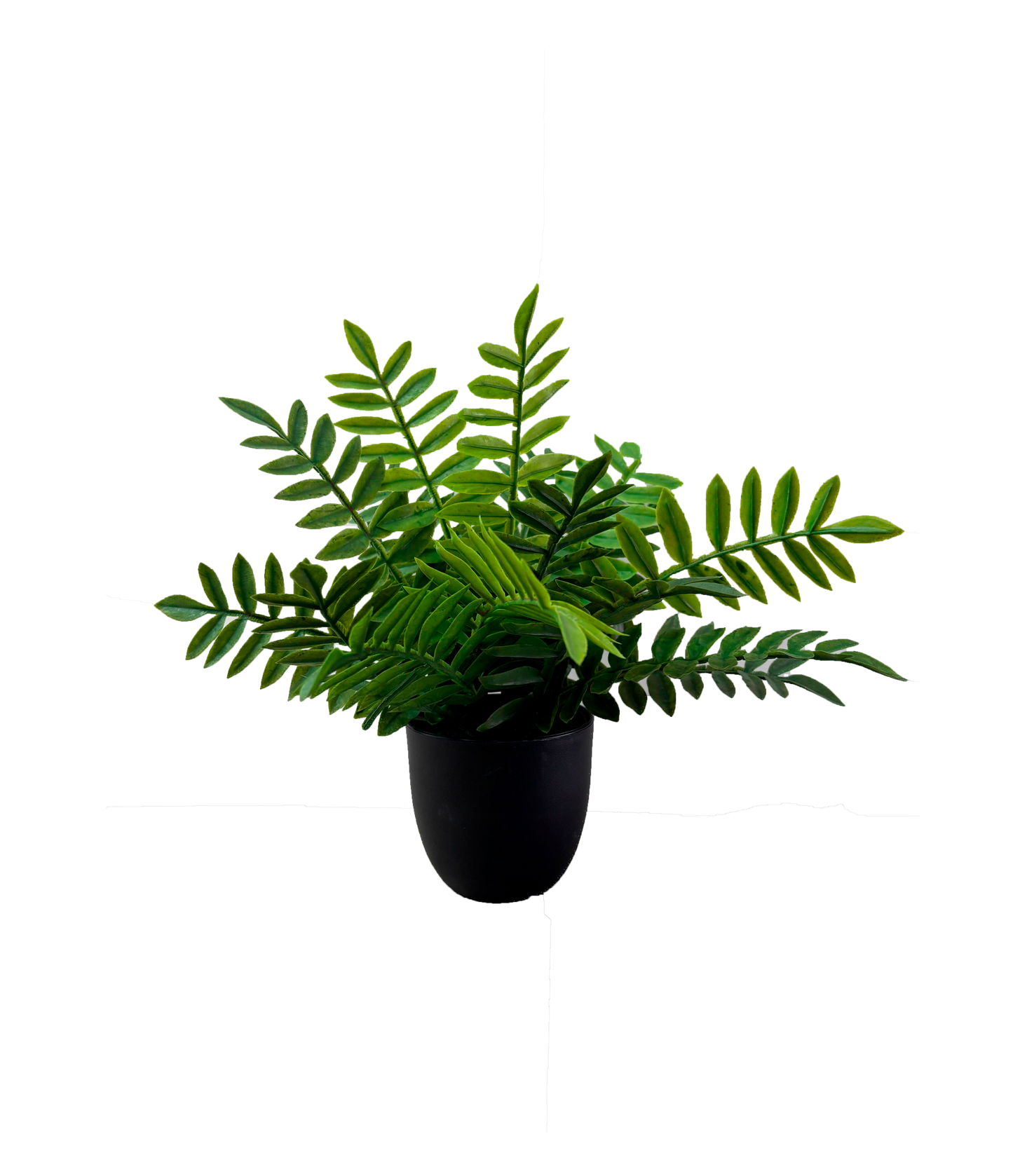 Planta Helecho 20cm.