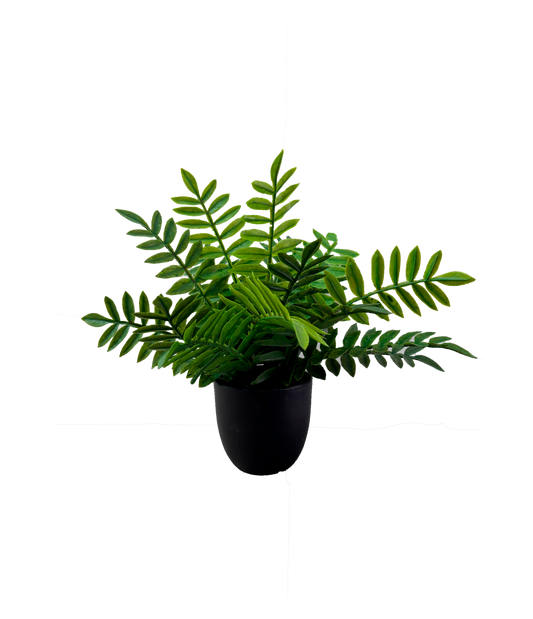 Planta Helecho 20cm.