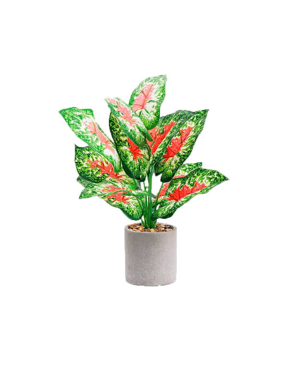 J PLANTA LZ009A