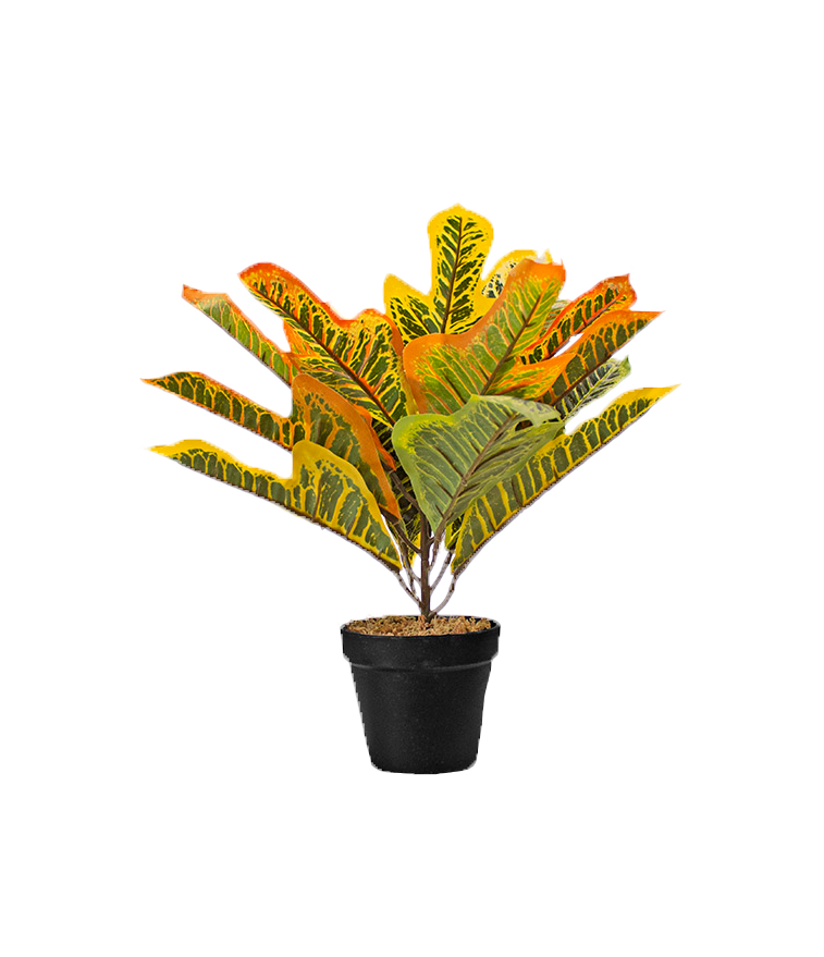 J PLANTA LZ019C