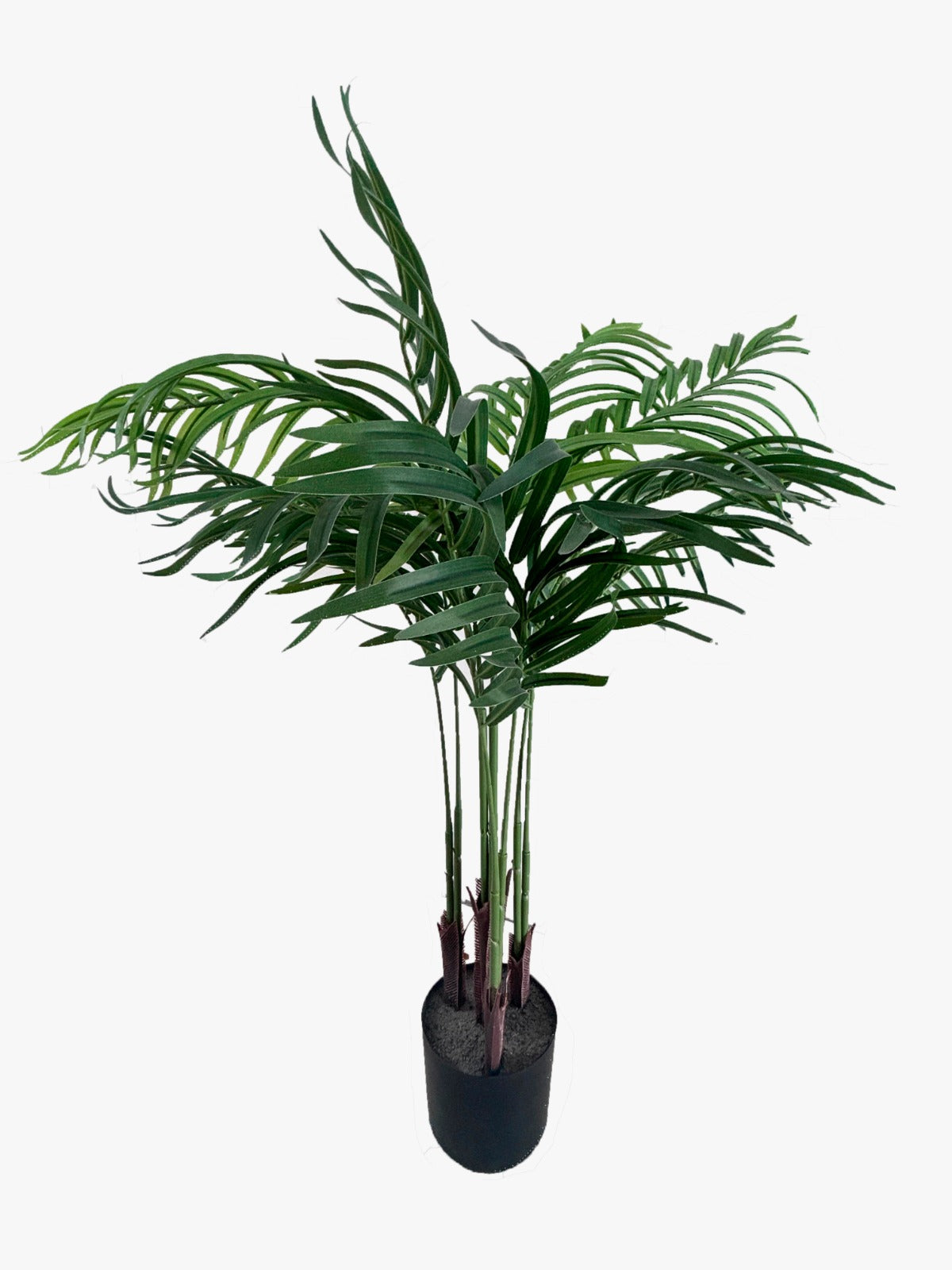 Planta Palm 140cm